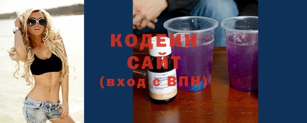 первитин Новодвинск