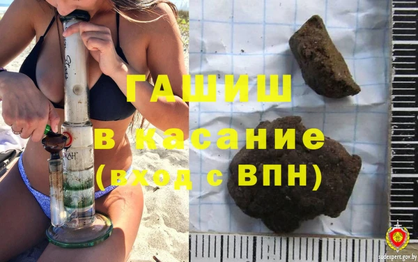 сатива Новокубанск