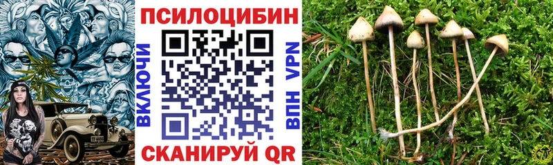 МЕГА tor  Кораблино  Галлюциногенные грибы GOLDEN TEACHER 